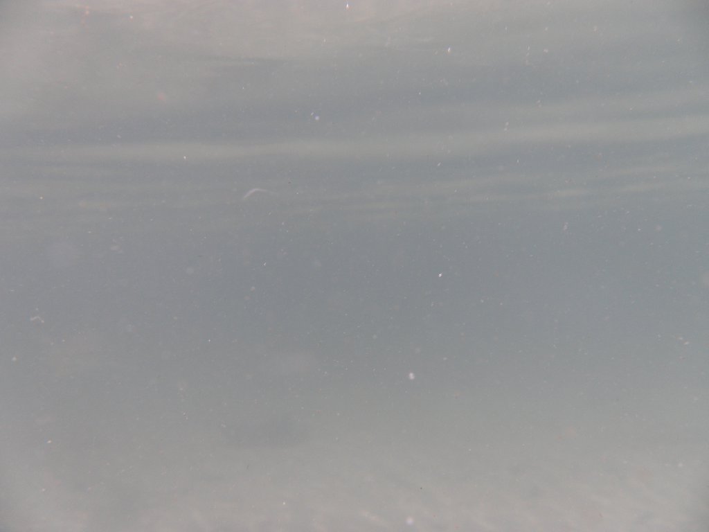 Image SAM_0082.JPG