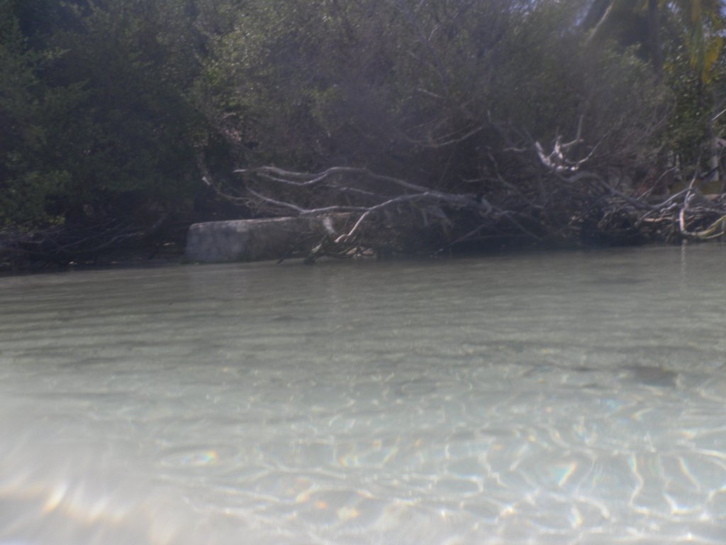 Image SAM_0083.JPG