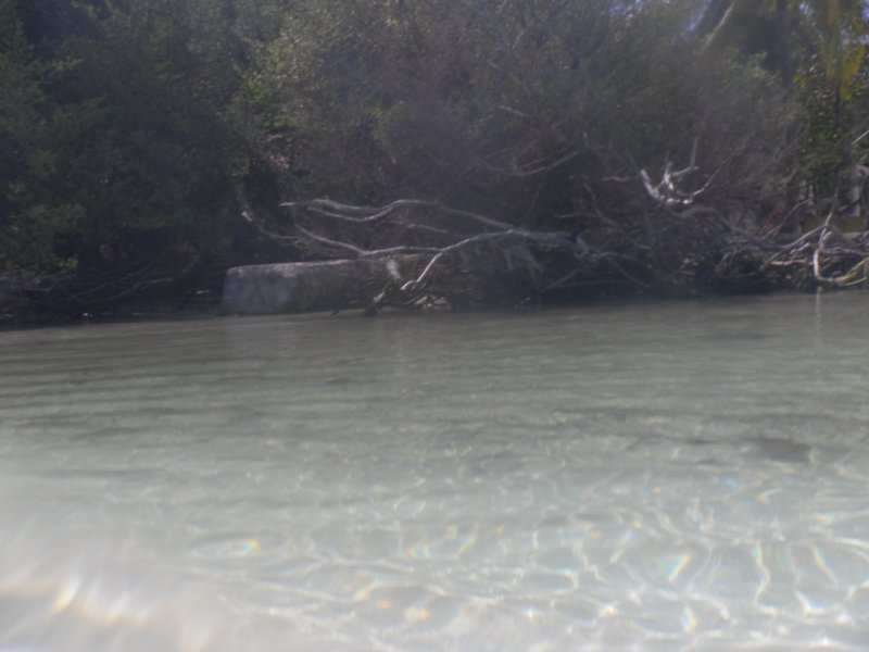 Image SAM_0083.JPG
