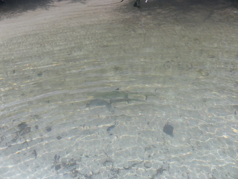 Image SAM_0084.JPG