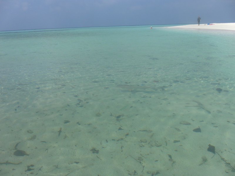 Image SAM_0087.JPG