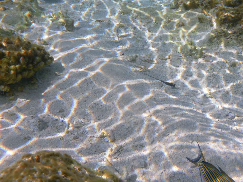 Image SAM_0097.JPG