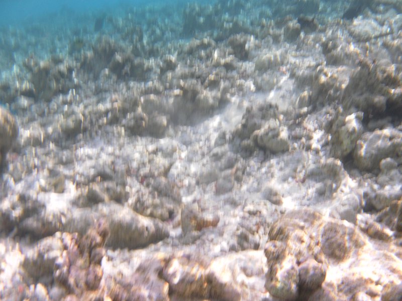 Image SAM_0101.JPG