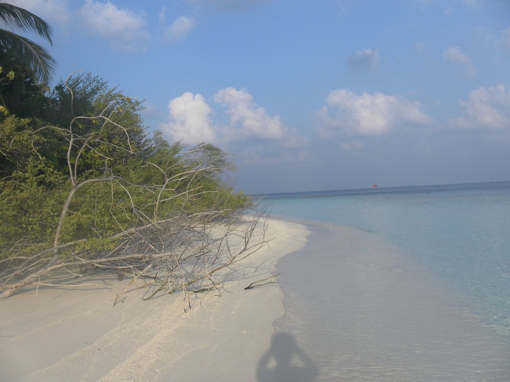Image SAM_0107.JPG
