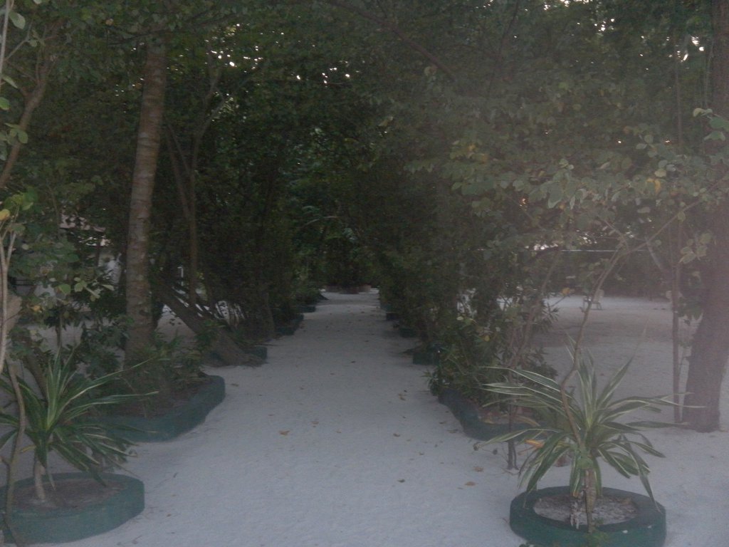 Image SAM_0112.JPG