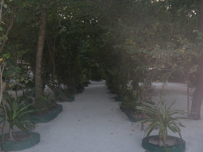 Image SAM_0112.JPG