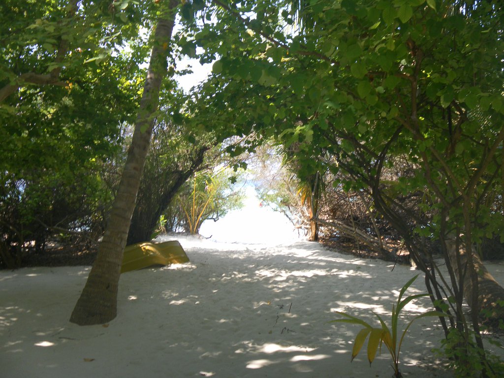 Image SAM_0113.JPG