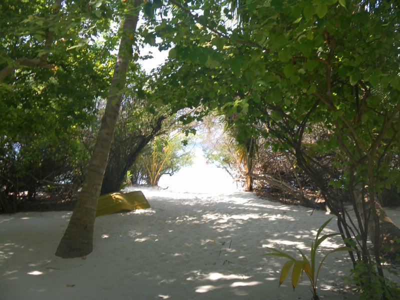 Image SAM_0113.JPG