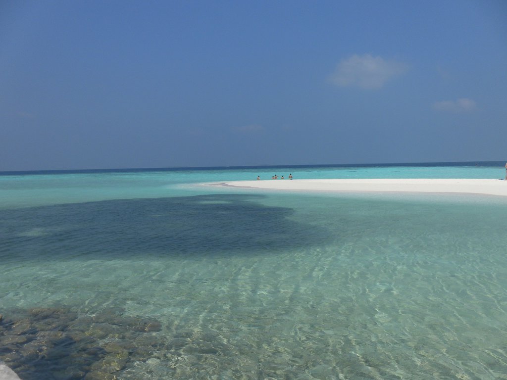 Image SAM_0115.JPG