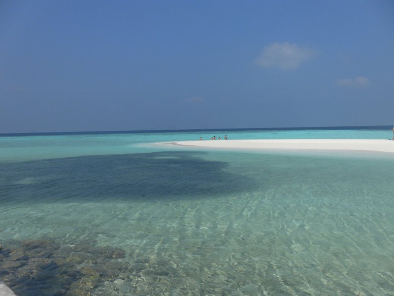 Image SAM_0115.JPG