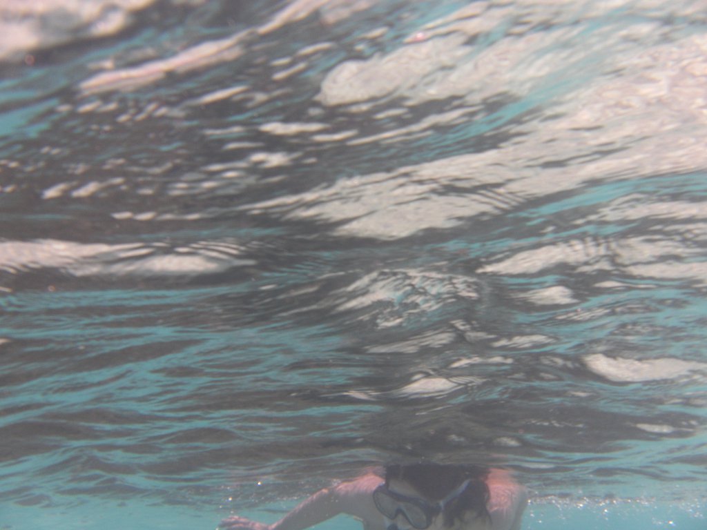 Image SAM_0132.JPG