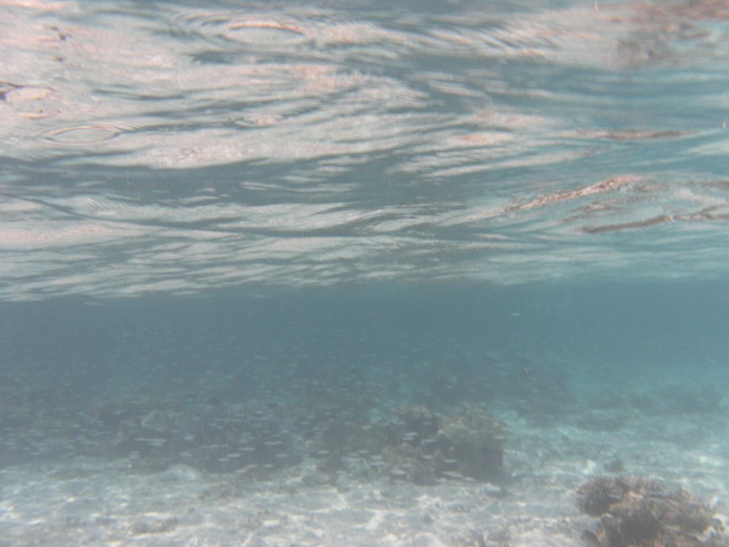 Image SAM_0133.JPG