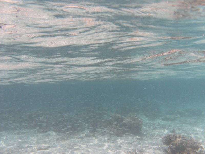 Image SAM_0133.JPG
