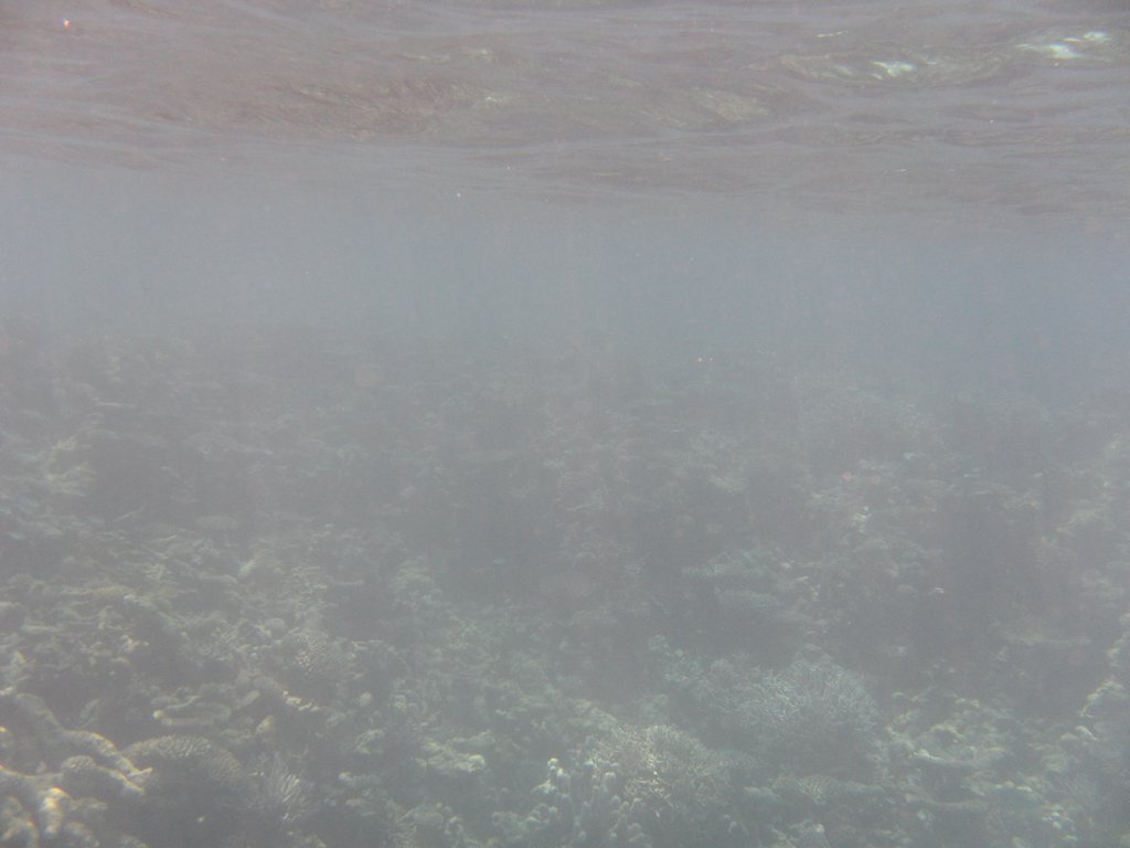 Image SAM_0137.JPG