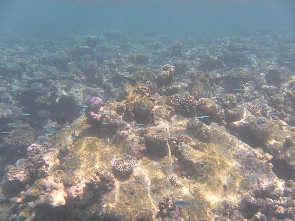 Image SAM_0139.JPG