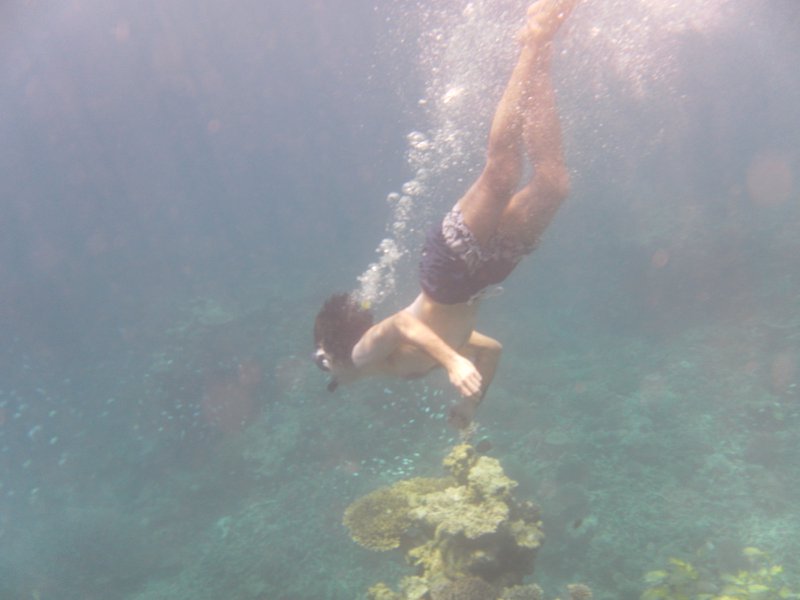 Image SAM_0141.JPG