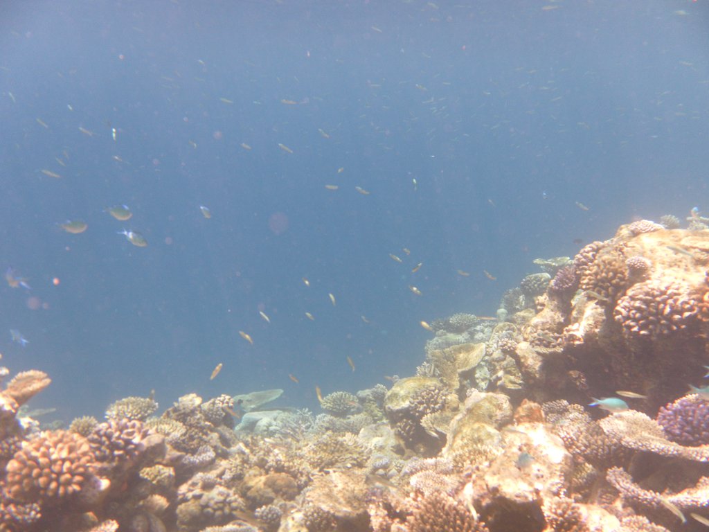 Image SAM_0146.JPG