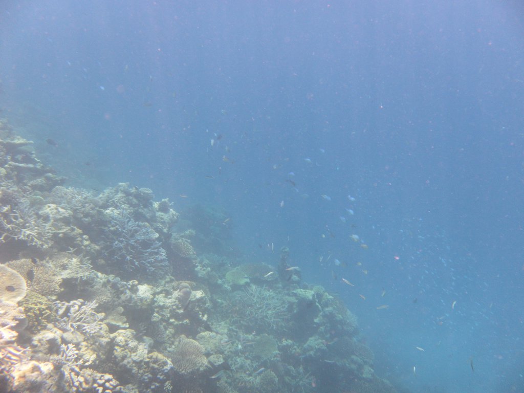 Image SAM_0149.JPG