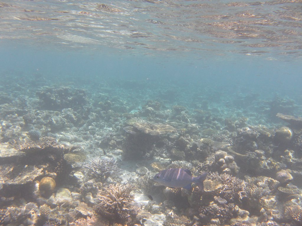 Image SAM_0150.JPG