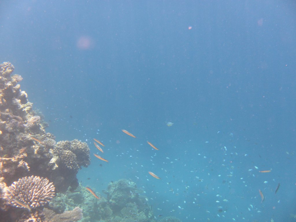 Image SAM_0152.JPG