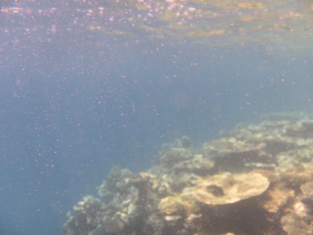 Image SAM_0155.JPG