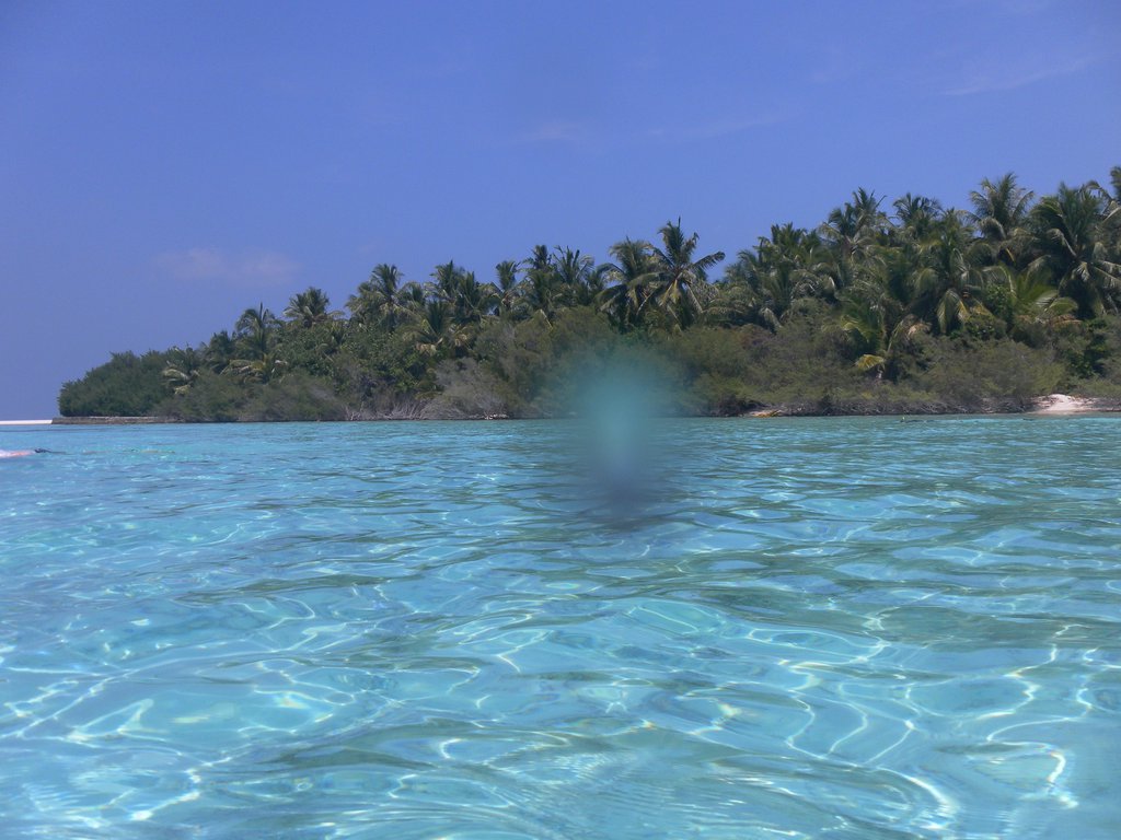 Image SAM_0163.JPG
