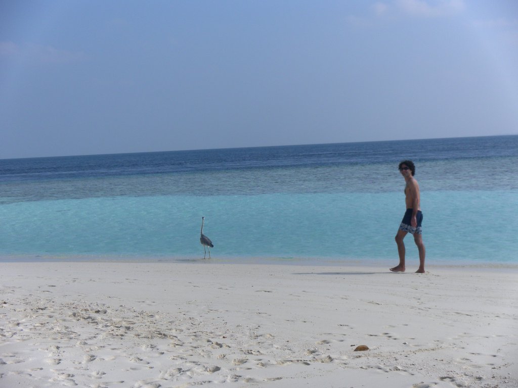 Image SAM_0169.JPG
