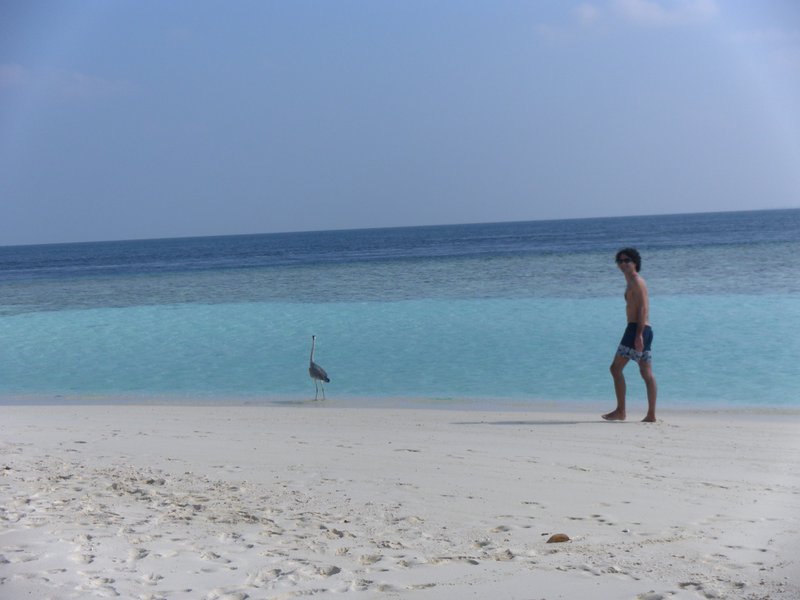 Image SAM_0169.JPG