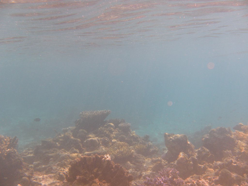 Image SAM_0173.JPG