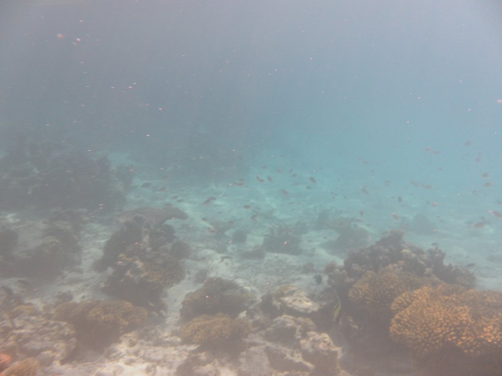 Image SAM_0174.JPG