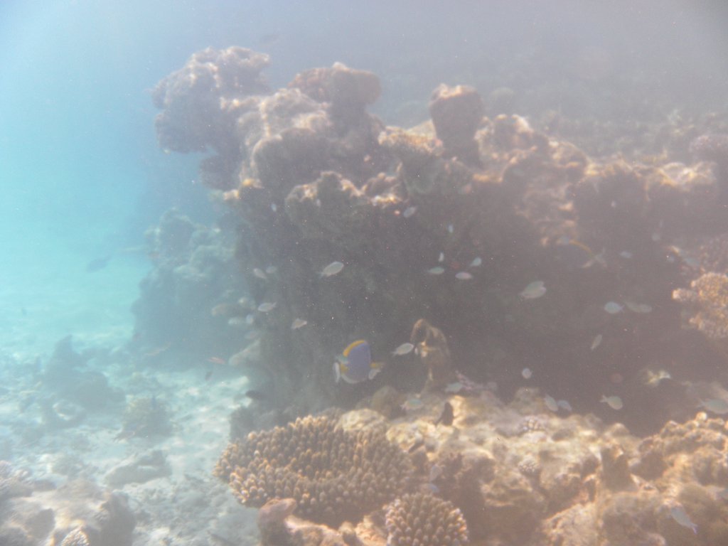 Image SAM_0175.JPG