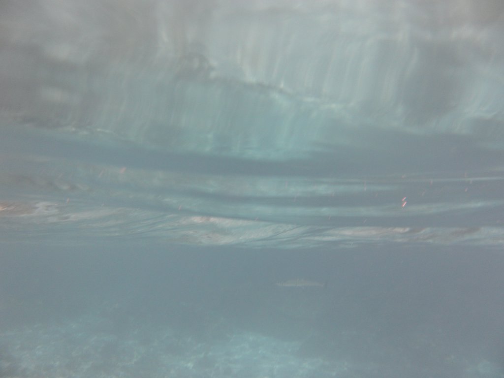 Image SAM_0176.JPG