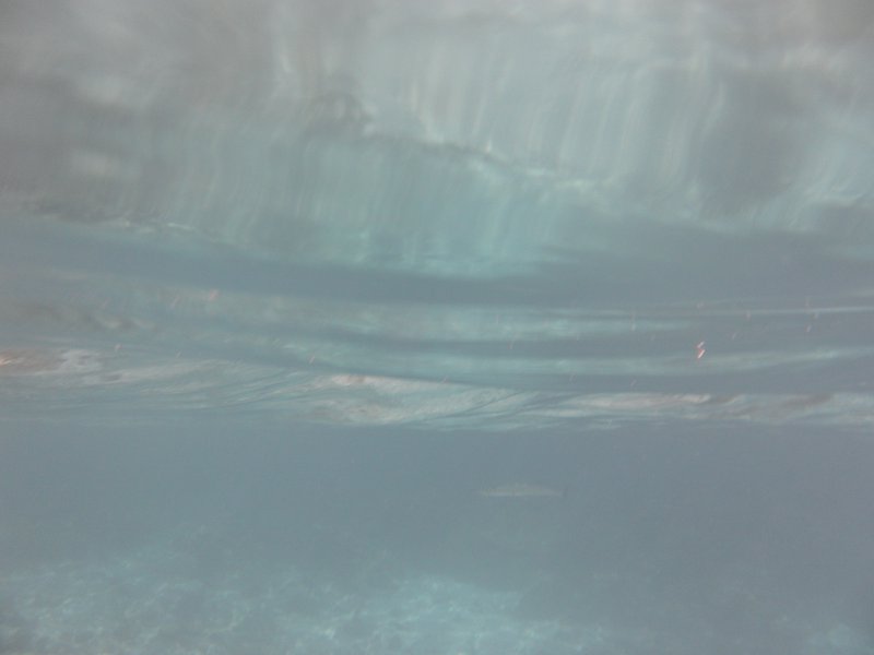 Image SAM_0176.JPG