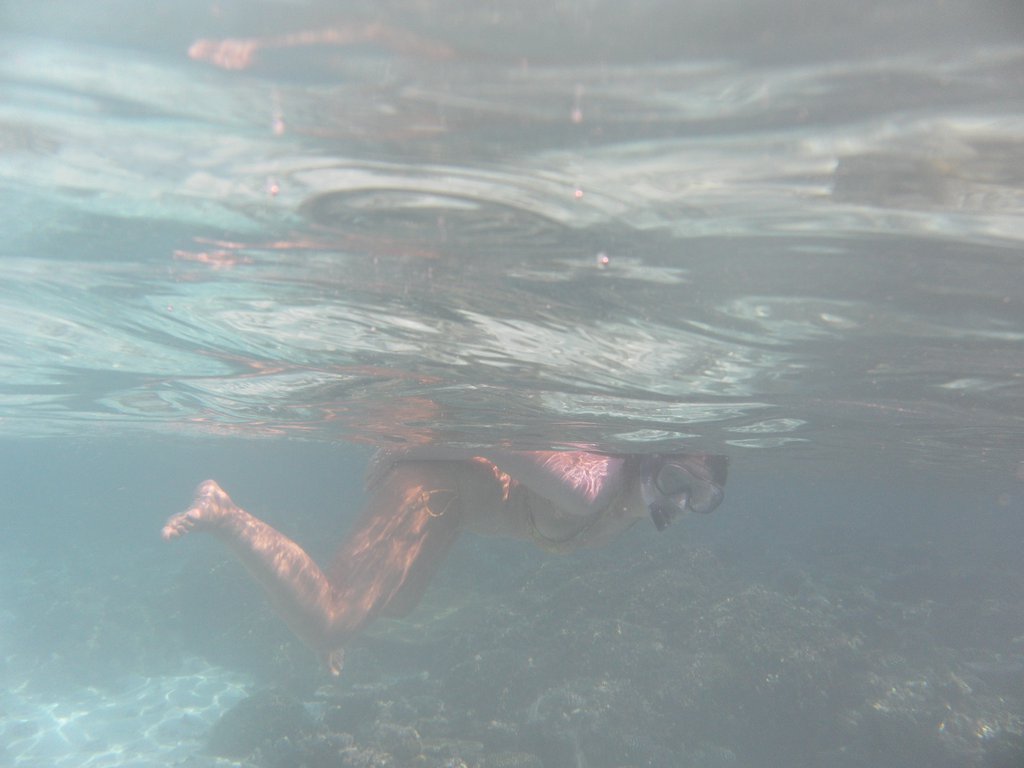 Image SAM_0178.JPG