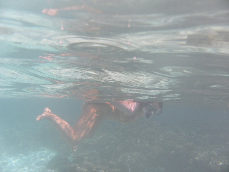 Image SAM_0178.JPG