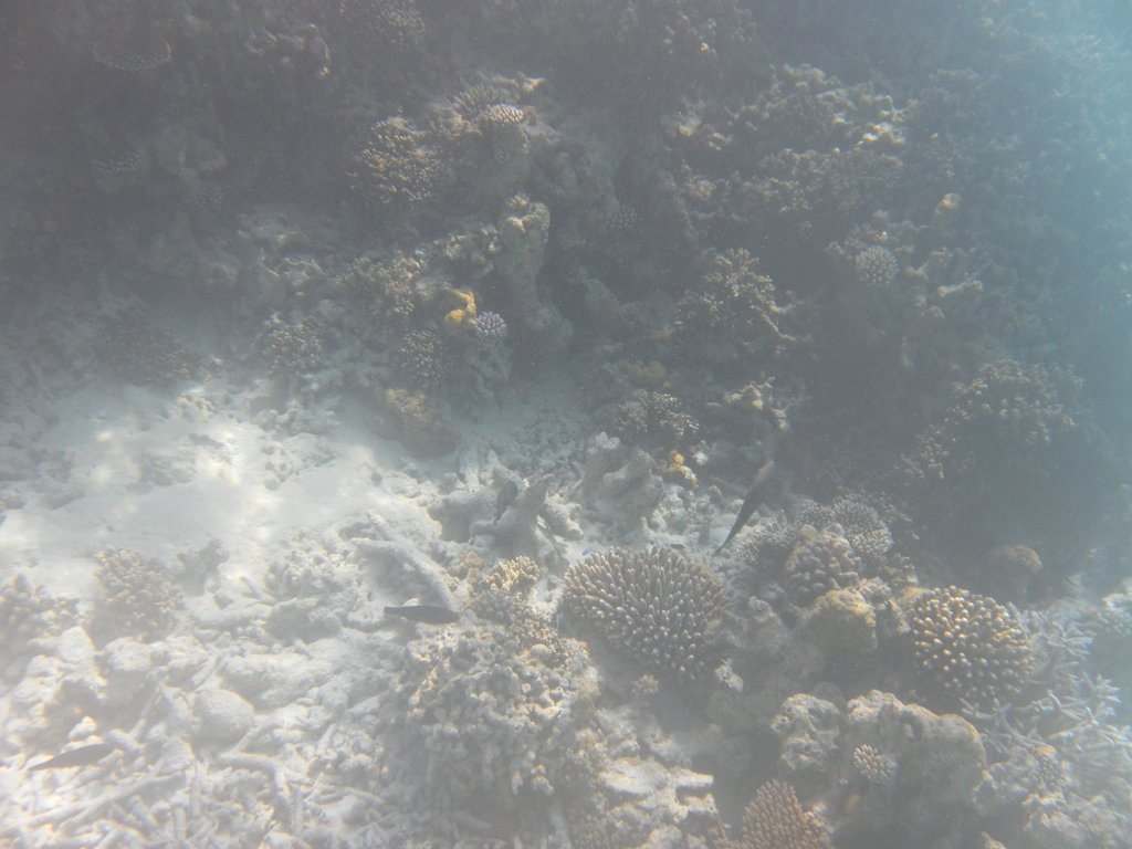 Image SAM_0179.JPG