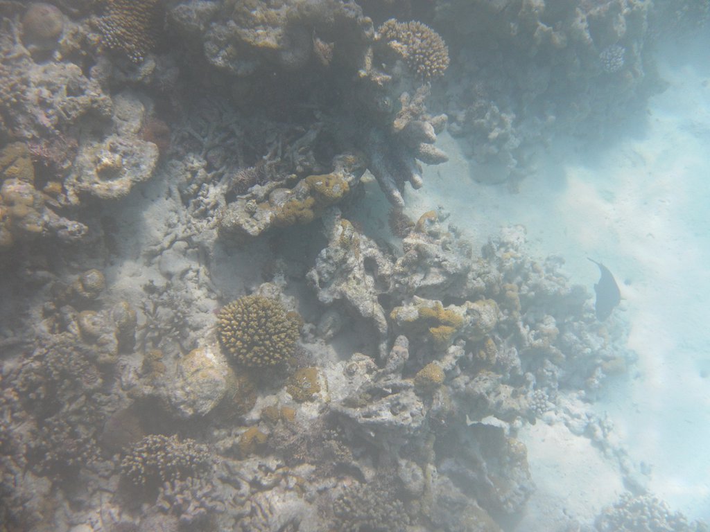 Image SAM_0180.JPG