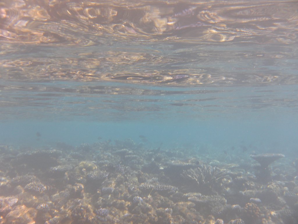 Image SAM_0181.JPG