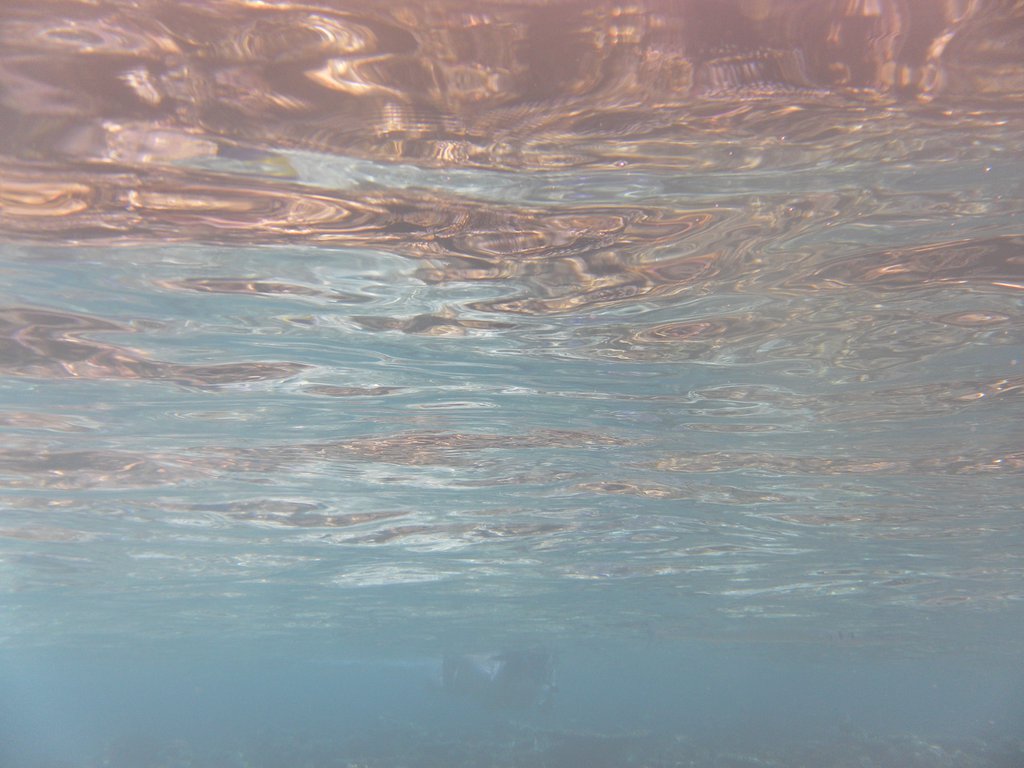 Image SAM_0189.JPG