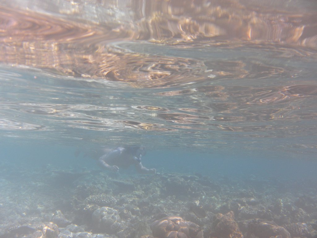 Image SAM_0190.JPG