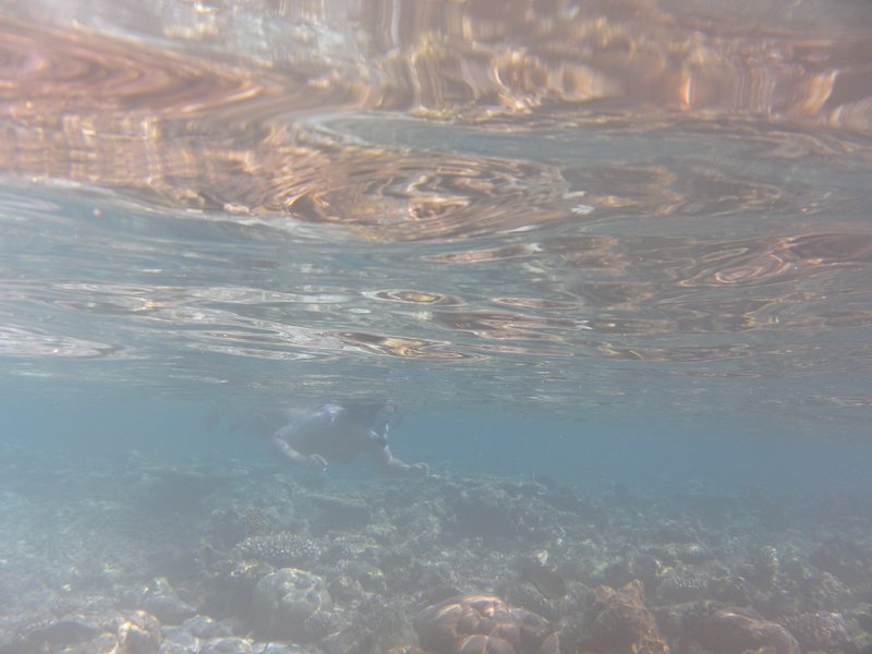Image SAM_0190.JPG
