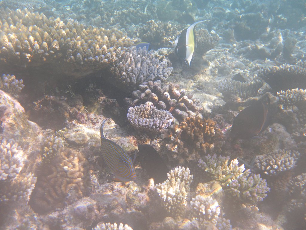 Image SAM_0191.JPG