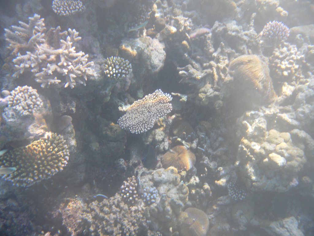 Image SAM_0201.JPG
