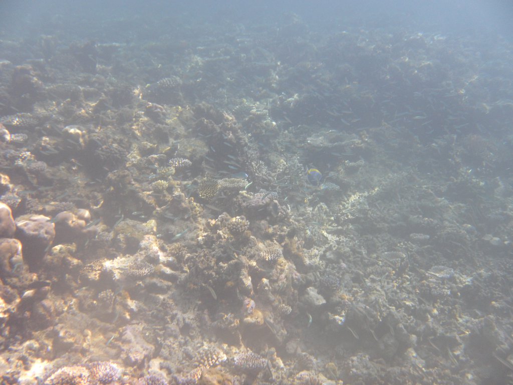 Image SAM_0204.JPG