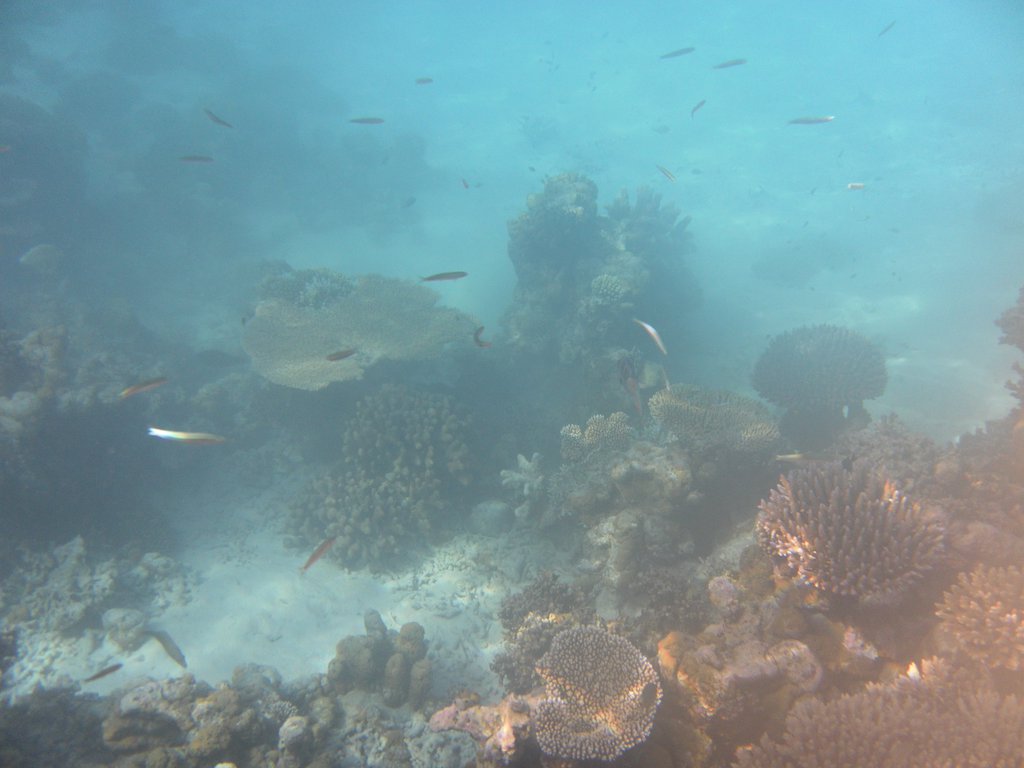 Image SAM_0206.JPG
