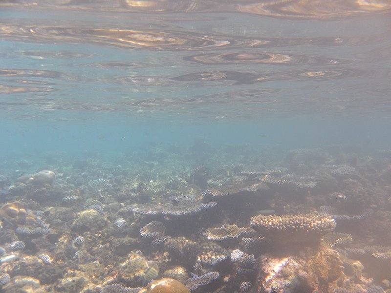 Image SAM_0210.JPG
