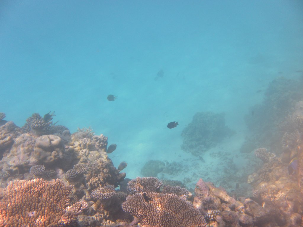 Image SAM_0211.JPG