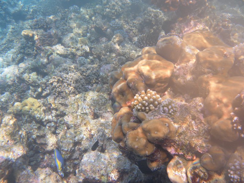 Image SAM_0212.JPG