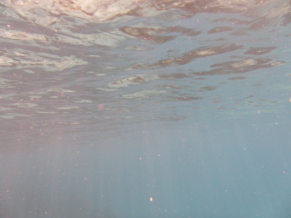 Image SAM_0215.JPG