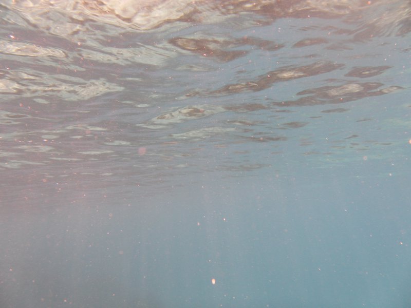 Image SAM_0215.JPG